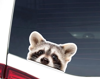 Peeking Raccoon Vinyl Decal,  Waterproof Anime Raccoon Bumper Decal