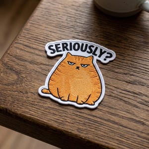 May include: An embroidered patch featuring a round, orange tabby cat with a grumpy facial expression. Above the cat, a white speech bubble shape contains the black text "SERIOUSLY?" in a bold, sans-serif font. The patch has a white border.