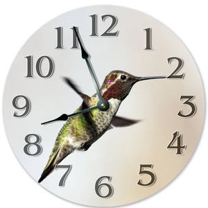 10.5" ANNA'S HUMMINGBIRD Clock - Large 10.5" Wall Clock - Bird Clock - Round Wall Clock - Home Decor - Birthday Gift - 3111