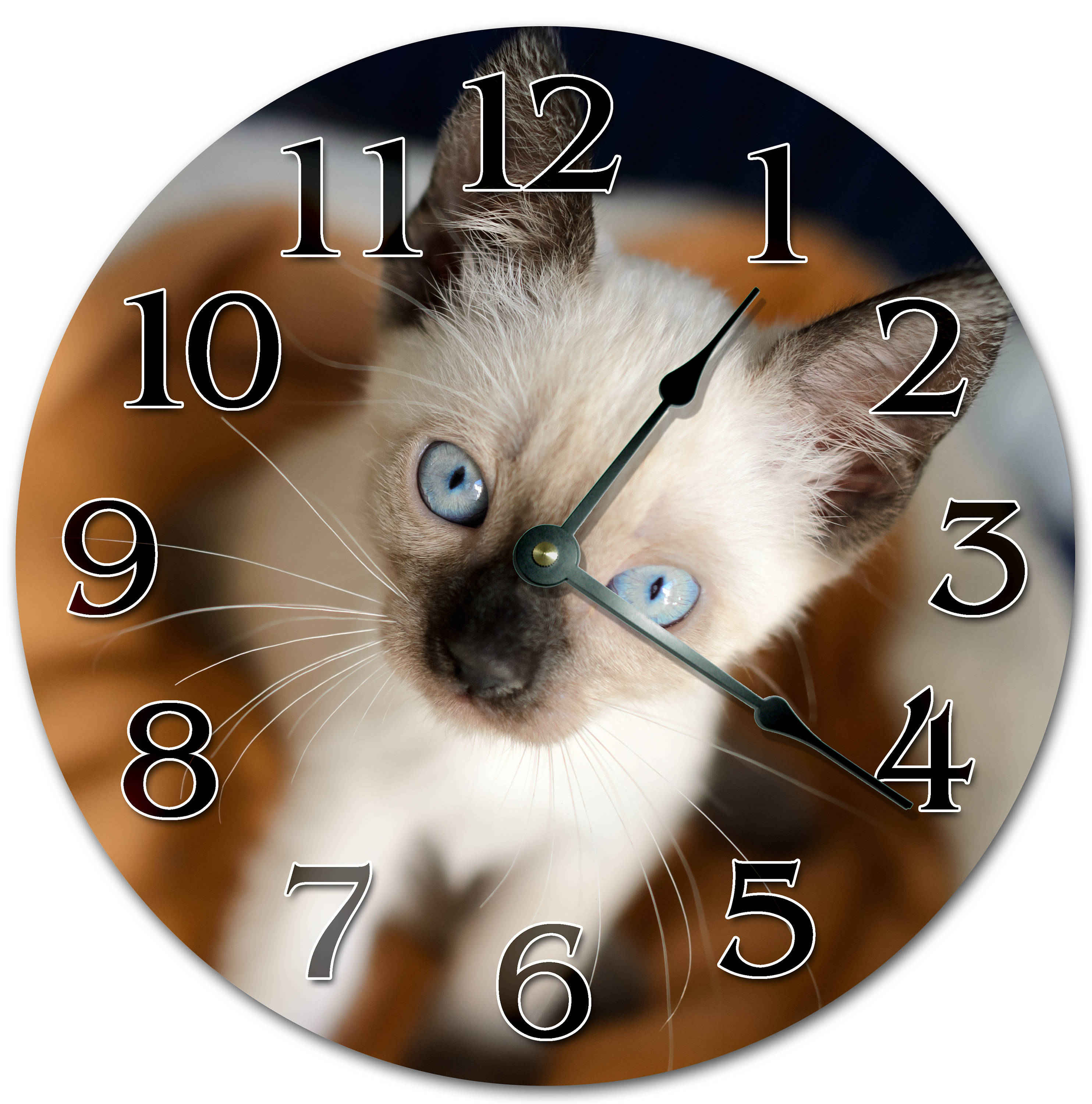 10.5 CUTE SIAMESE KITTEN Clock Living Room Clock Etsy