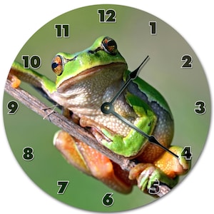 May include: Round wall clock featuring a vibrant green frog perched on a branch. The clock face has black numerals and hands, set against a blurred green background. The frog's eyes are orange, and its skin is green and tan.