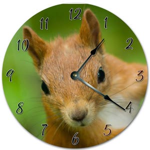 May include: Round wall clock featuring a close-up of a red squirrel against a green background. The clock face has black numerals and hands. The squirrel's fur is reddish-brown, and its eyes are dark.