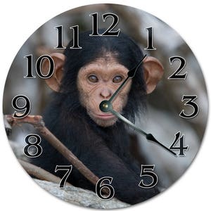 May include: Round wall clock featuring a close-up image of a chimpanzee. The clock face has black numerals and hands, with the chimpanzee's face at the center. The background is a blurred image of a natural setting.