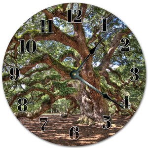 Peut inclure: Horloge murale ronde représentant un grand chêne avec de larges branches couvertes de mousse. Le cadran de l'horloge affiche des chiffres noirs et des aiguilles noires. Le fond montre un sol forestier. Diamètre d'environ 30 cm.