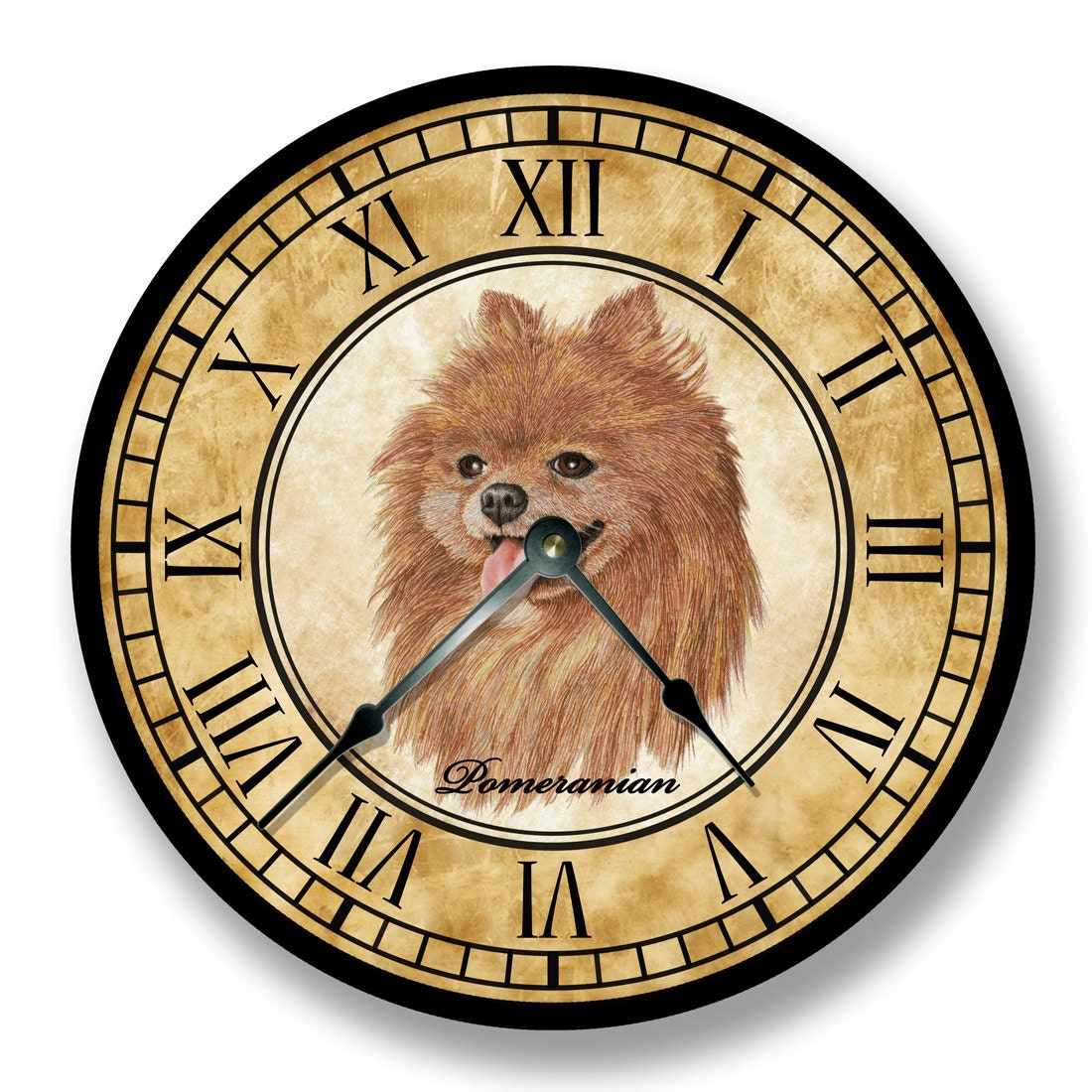 Часы про животных. Животное с часами. Часы по животным. Часы lookworld. Внутренние часы животных.