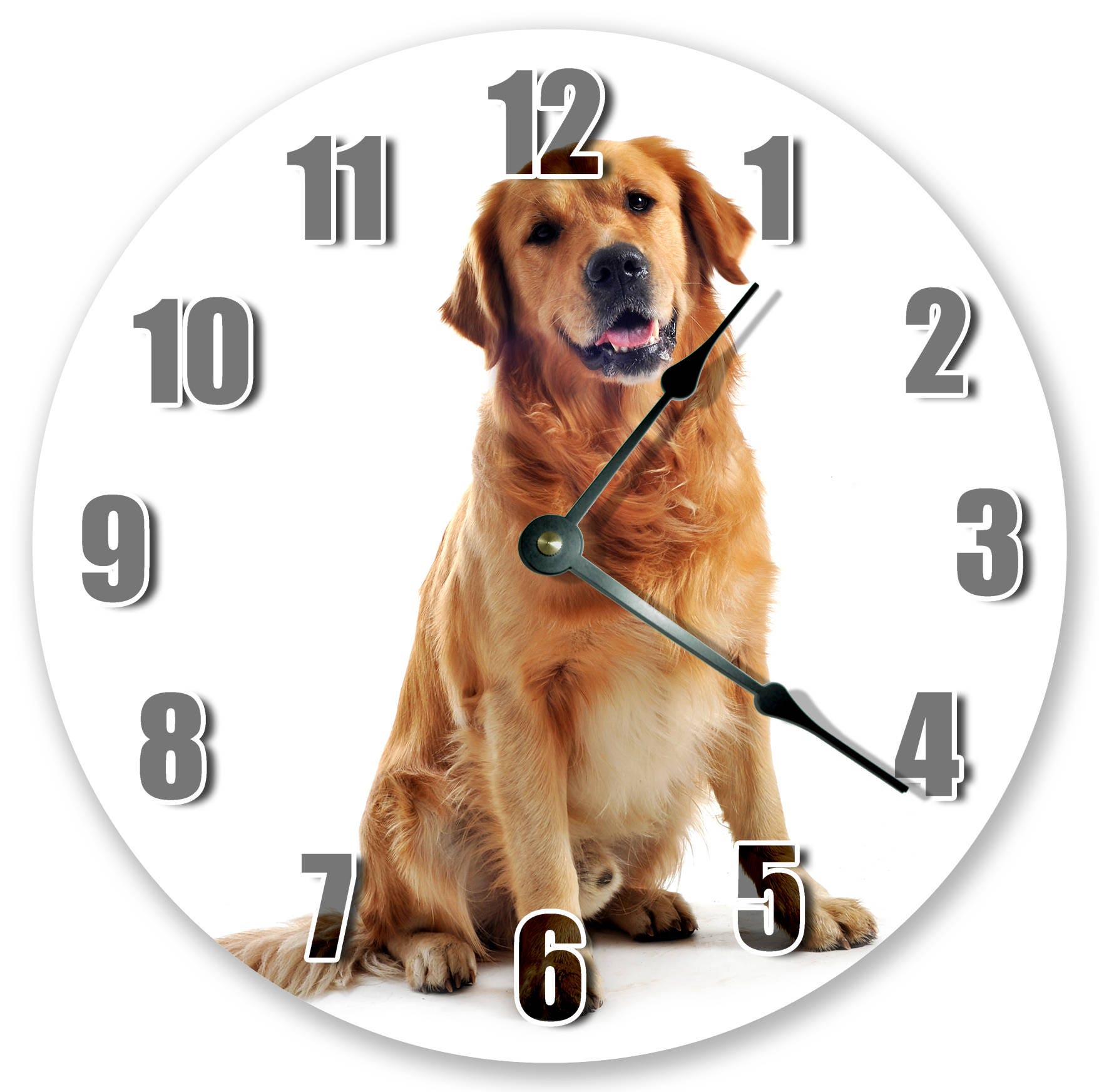 Часы про животных. Часы животные. Собака и часы. Фото часы с животными. Сибирская часы собаки.