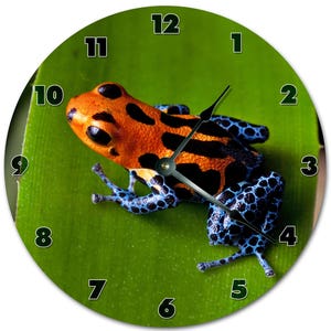 May include: Round wall clock featuring a vibrant orange and black poison dart frog on a green leaf. The frog has blue patterned legs. Black numerals mark the hours on the clock face.