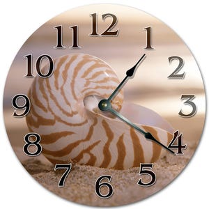 Nautilus Shell Clock: 10.5" Coastal Home Decor