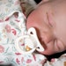 see more listings in the REBORN DOLLS section