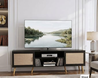 Mid Century TV Stand with Rattan Doors,  Wood Entertainment Center, Modern Media Cabinet