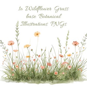 Peut inclure: Illustration à l'aquarelle de fleurs sauvages et d'herbes dans des tons de rose, jaune et vert. L'image comprend le texte "10 Wildflower Grass base Botanical Illustrations PNGs" en vert clair.