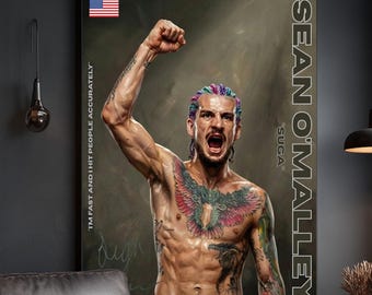 Póster de Sean O'Malley, arte mural de Suga Sean en la UFC, impresión de luchador de MMA, decoración de gimnasio, arte rupestre de deportista, regalo para él, pintura al óleo digital