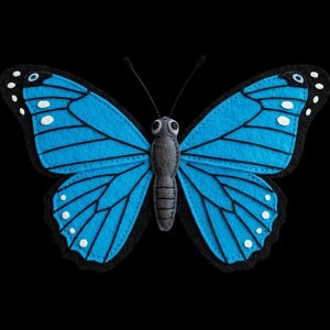 May include: A blue butterfly with black outlines and white spots against a black background. The butterfly has a gray body and antennae. The wings are a vibrant blue with black veins and white spots along the edges.