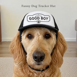Puede incluir: Un golden retriever con una gorra de camionero en blanco y negro. La gorra tiene las palabras "GOOD BOY" en un diseño rectangular. El texto "Funny Dog Trucker Hat" está encima del perro.