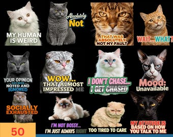 May include: A collection of 12 cat images with various expressions and text overlays. The phrases include "My Human Is Weird," "Absolutely Not," and "Wait... What?" The image also includes the text "50 PNGs" and "300 DPI Transparent Background."