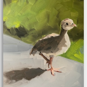 855 Not All Birds Fly 2