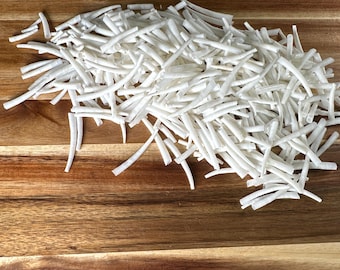 Dentalium 1/4 Kilo/250gramos