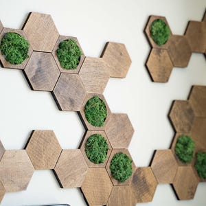Puede incluir: Arte mural de hexágonos de madera con inserciones de musgo verde. La decoración de la pared presenta múltiples hexágonos de madera en varias disposiciones, cada uno con un parche circular de musgo verde vibrante.