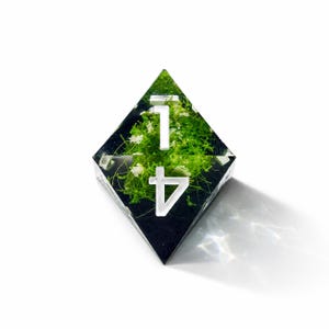 May include: A clear, diamond-shaped resin die featuring embedded green moss and small white flowers. The die displays the numbers 1 and 4 in a bold, white, sans-serif font on its front face, with a smooth, polished finish and sharp edges.
