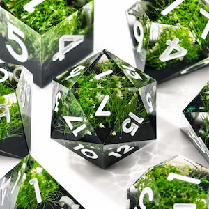 May include: A set of polyhedral dice made of clear resin, each containing embedded green moss and tiny white flowers. The dice feature sharp edges and bold, white sans-serif numerals. The base of each die is opaque black, contrasting with the clear top.