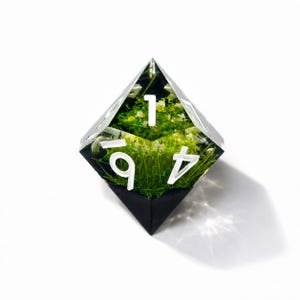 May include: A clear, multi-faceted polyhedral die containing embedded green moss and small white flowers. The die features bold, white, sans-serif numerals on its faces, including the numbers 1, 4, and 9, set against a dark, opaque base.