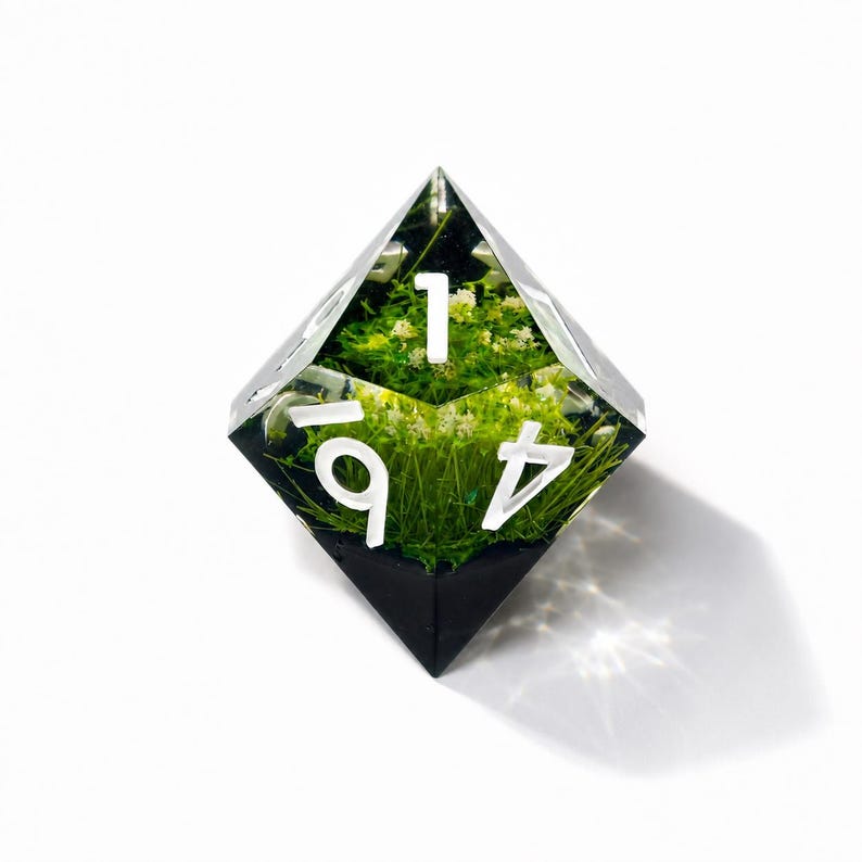 May include: A clear, multi-faceted polyhedral die containing embedded green moss and small white flowers. The die features bold, white, sans-serif numerals on its faces, including the numbers 1, 4, and 9, set against a dark, opaque base.