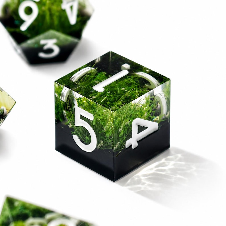May include: A six-sided die made of clear resin containing green moss-like vegetation inside. The bottom section is opaque black, and the top section is transparent. Large, white, sans-serif numbers are embedded on the faces of the cube.