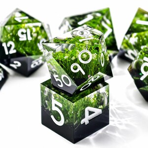May include: A set of polyhedral dice made of clear resin, each containing miniature green grass and white flowers. The dice feature bold white numbers. One die is a cube with numbers 4 and 5 visible, topped by a d100 die showing the number 90.