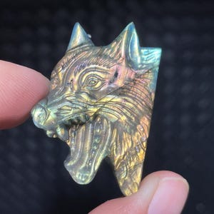 May include: A carved gemstone pendant in the shape of a wolf's head. The pendant features intricate details and iridescent colors, including gold, blue, and purple. The wolf's head is carved with detailed fur and facial features.