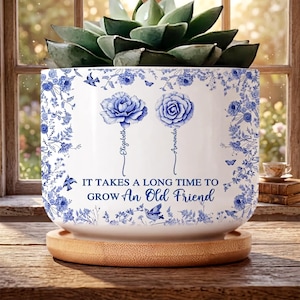 Personalized Best Friend Plant Pot, Custom Birth Flower Vase, Friendship Gift for Women, Old Friend Quote Planter, Birthday Gift for Besties
