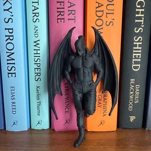 May include: A black figurine of a muscular winged figure stands in front of a row of colorful books. The figure has a detailed physique and is wearing dark pants and boots. The books have titles like "Sky's Promise" and "Night's Shield".