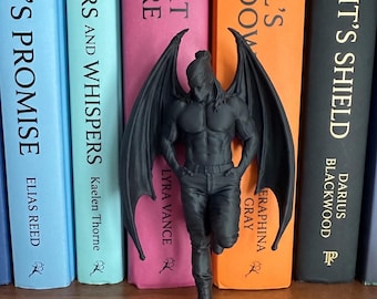 ACOTAR inspirierte Kassian Buchecke, Fledermaus Jungen Bücherregal Dekor, illyrischen Krieger Regaleinsatz, Romantasy Bücherwurm Geschenk für Leser.