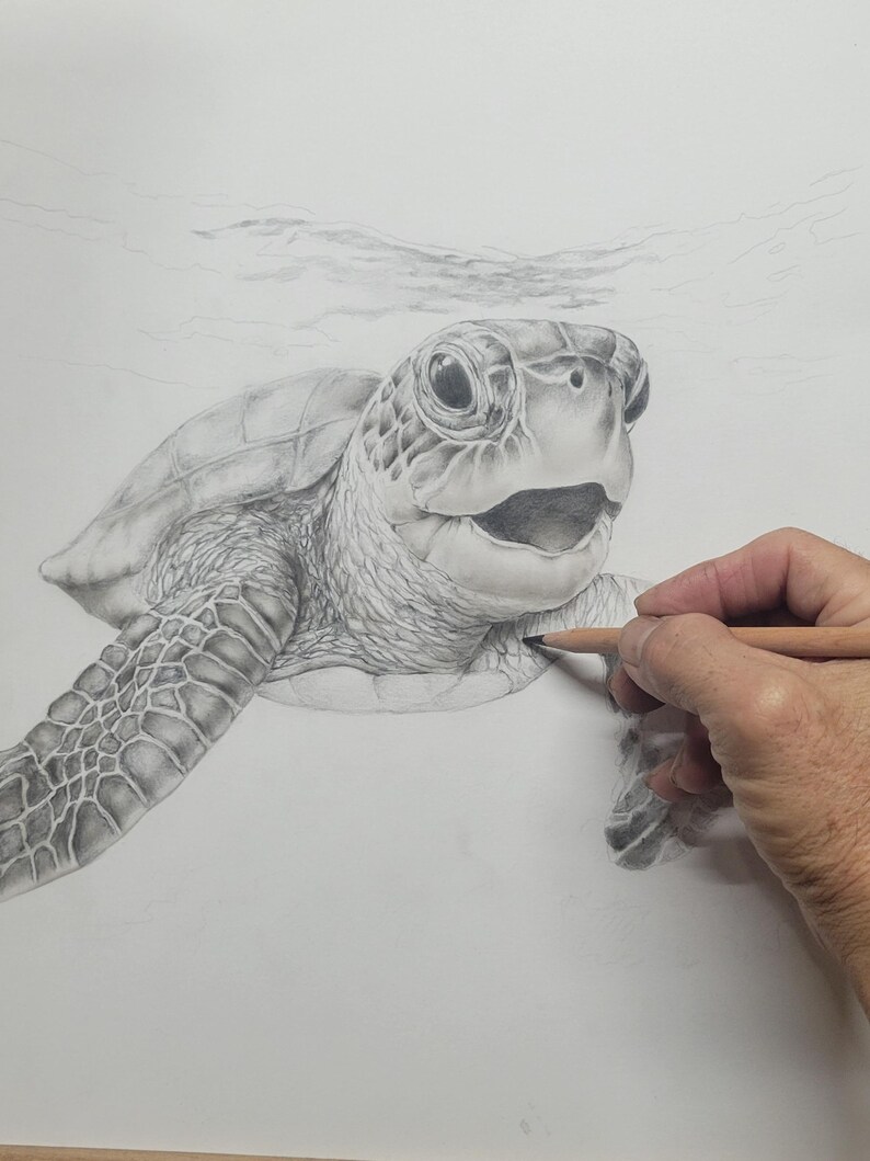 Sea Turtle Coloring Page Printable – Guided Pencil Coloring Tutorial ...