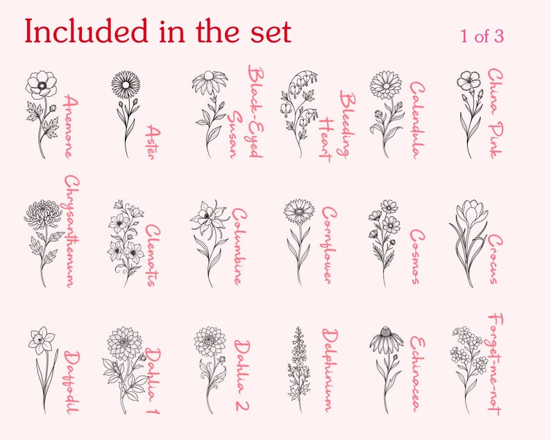 53 Cottage Garden Flower Outlines | Floral Procreate Stamps Bundle ...