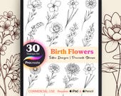 30 Birth Flower Procreate Stamps | Floral Tattoo Design Brush Set | Botanical Line Art and Tattoo Flash
