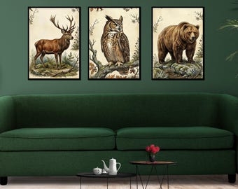 Ensemble de 6 illustrations vintage d'animaux de la forêt, illustrations botaniques anciennes de la faune sauvage, affiches de la nature des bois, art rustique, impressions numériques