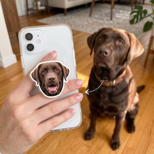 May include: A clear phone case with a brown Labrador Retriever phone grip. The phone grip features a smiling dog face. A real brown Labrador Retriever dog is in the background, wearing a brown collar.
