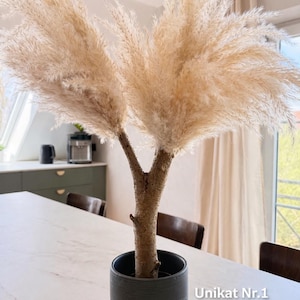 Pampas tree - Etsy.de