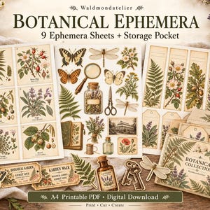 Könnte beinhalten: Eine Sammlung botanischer Ephemera mit neun Bögen und einer Aufbewahrungstasche. Die Motive zeigen Illustrationen von Farnen, Hagebutten, Eichen, Salbei, Thymian, Haselnüssen, Schmetterlingen, Libellen, einer Lupe, Scheren und Schlüsseln.