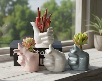Indoor Desk Plant Holder with Cartoon Design | Decorative Art Ornament D8