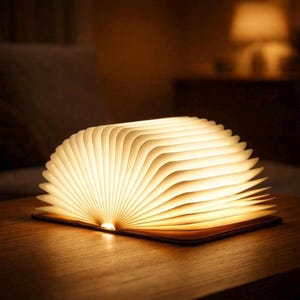 May include: A decorative book-shaped lamp with open, illuminated pages. The warm, soft light emanates from the pages, creating a cozy ambiance. The lamp sits on a wooden surface, with a blurred background.