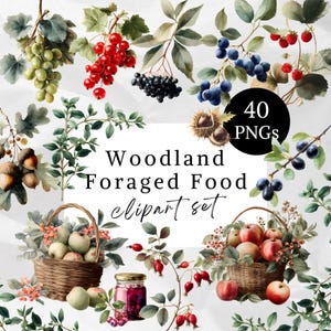 Könnte beinhalten: Aquarell-Cliparts mit verschiedenen Wildfrüchten, darunter Trauben, Beeren, Äpfel und Eicheln. Das Bild zeigt Obstkörbe, grüne Zweige und ein Glas Konserven. Der Text lautet "Woodland Foraged Food clipart set" und "40 PNGs".