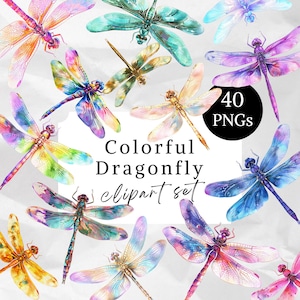 Può includere: Una collezione di clip art di libellule colorate in vari colori, tra cui arancione, blu, viola e verde. L'immagine include il testo "Colorful Dragonfly clipart set" e un cerchio nero con il testo "40 PNGs".