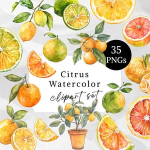 Può includere: Set di clipart ad acquerello di agrumi, tra cui arance, limoni, pompelmi e lime. L'immagine include frutti interi, fette e rami con foglie. È presente anche un piccolo albero di limoni in vaso. Il testo recita "Citrus Watercolor clipart set" e "35 PNGs".