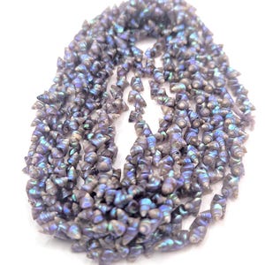 May include: A necklace made of small, iridescent, cone-shaped shells. The shells are primarily shades of gray and blue, with hints of green and purple. The shells are strung together to form a long strand.