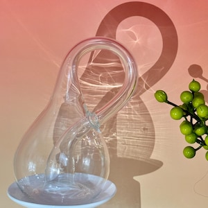 Può includere: Un vaso decorativo in vetro trasparente con un design ad anello unico, appoggiato su un piatto bianco. Il vaso ha una base bulbosa e un manico curvo. Un rametto di bacche verdi è sullo sfondo, con l'ombra del vaso su una parete color pesca.