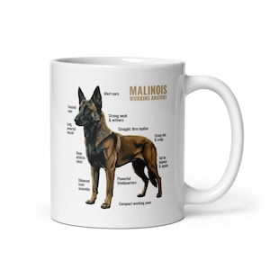 Peut inclure: Mug en céramique blanche avec une illustration détaillée d'un chien Malinois et des étiquettes anatomiques. Le texte "MALINOIS WORKING ANATOMY" est imprimé sur la tasse. Le chien est représenté dans des tons de marron et de noir.