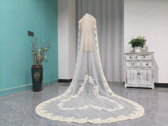 Champagne Heart-shaped Lace Bridal Veil, One Layer Cathedral  display picture 3