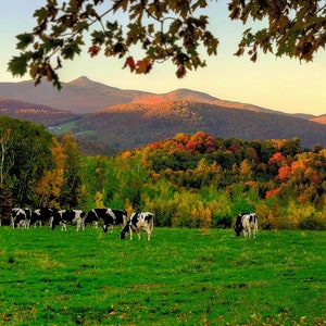 Vermont, photographie, impressions, automne, feuillage d'automne, photo personnalisée, art mural, maison, décoration, beaux-arts, édition limitée, livraison gratuite, cadeau