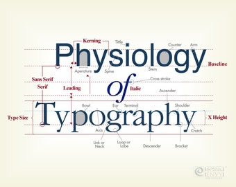 Physiology of Typography